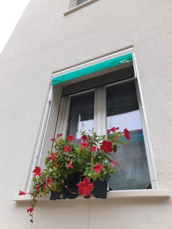 A Casa Di Elsa Apartment Castenaso Exterior foto